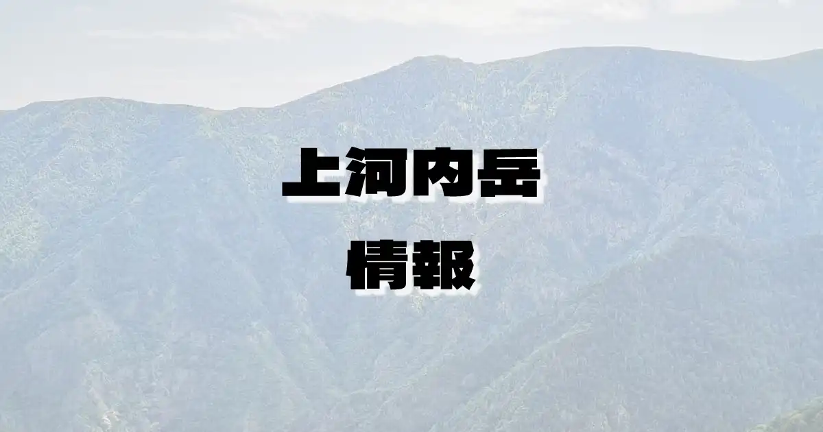 【上河内岳】かみこうちだけ（赤石山脈・長野県・静岡県）の詳細情報