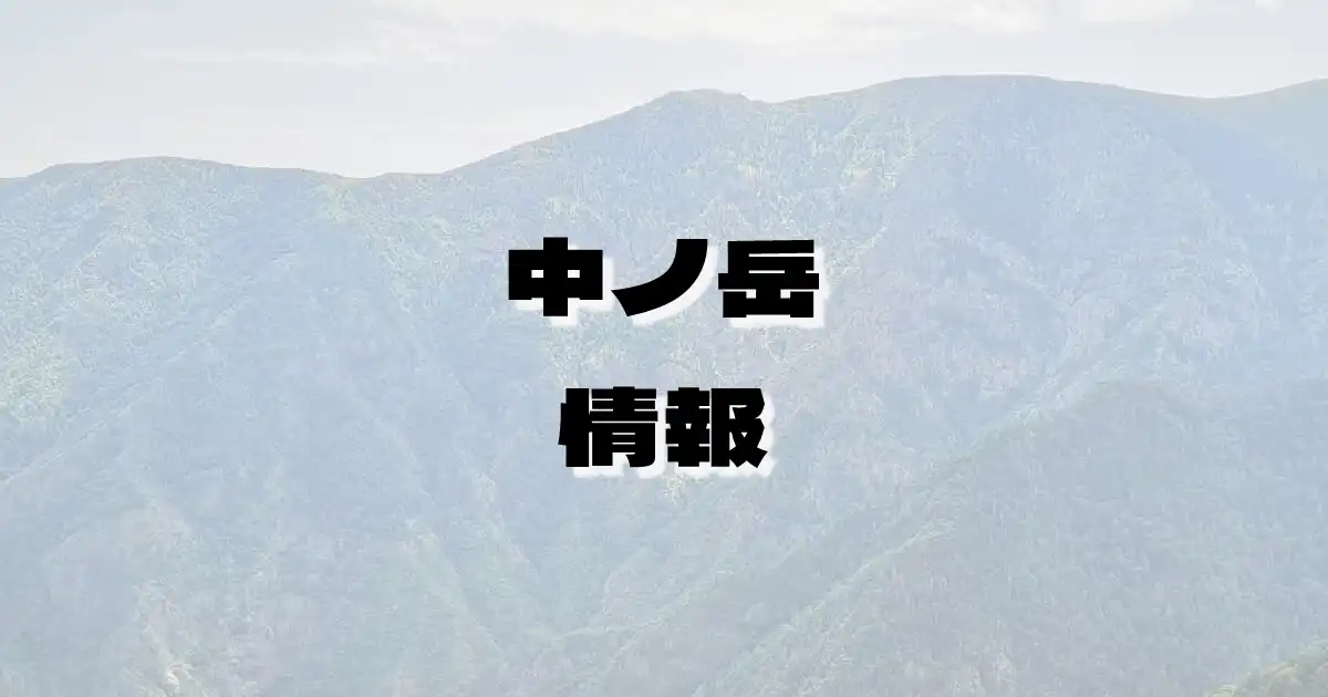 【中ノ岳】なかのだけ（越後山脈・新潟県）の詳細情報