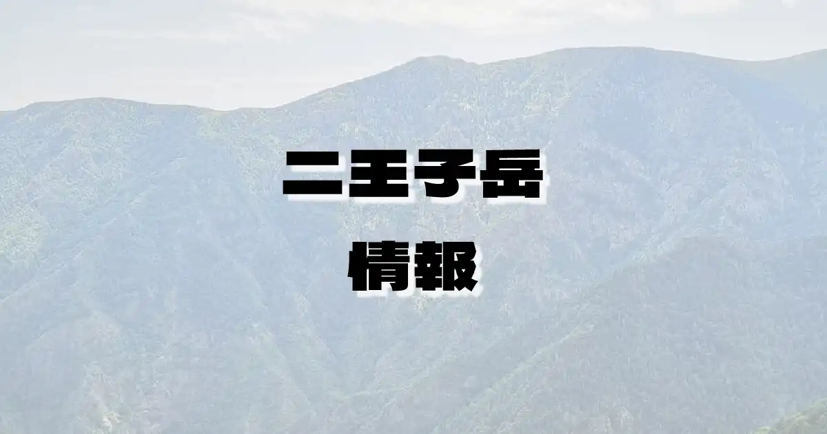 【二王子岳】にのうじだけ（飯豊山地・新潟県）の詳細情報