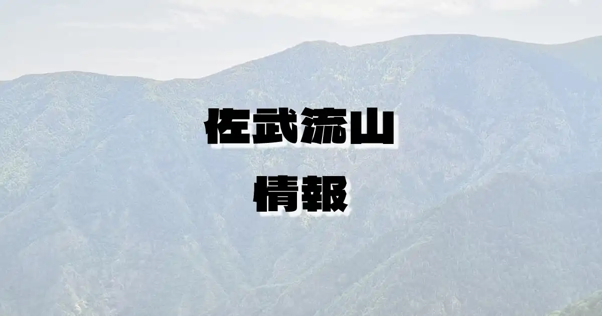 【佐武流山】さぶりゅうやま（上信越高原・新潟県・長野県）の詳細情報