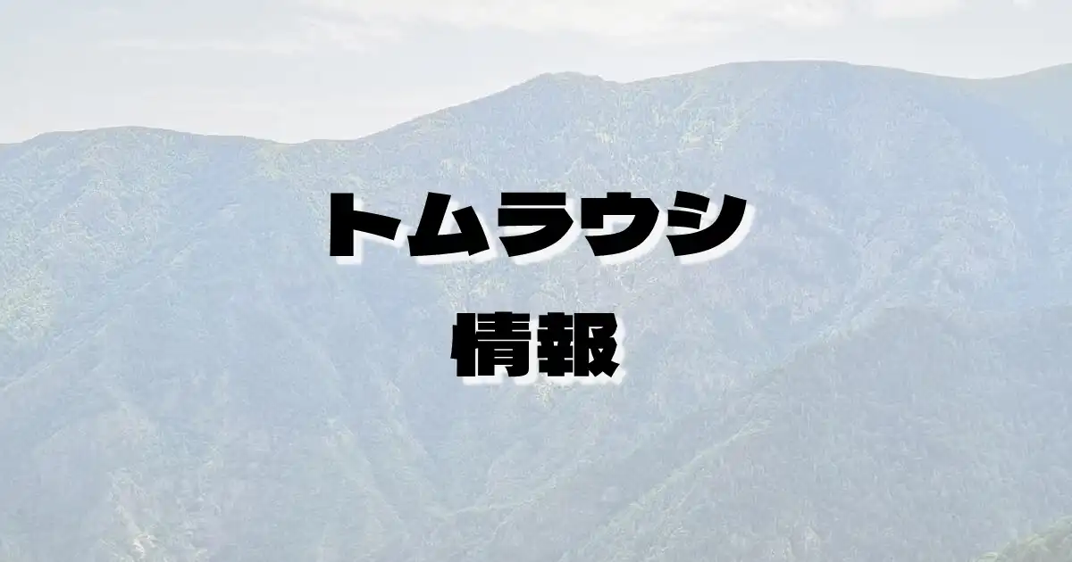 【トムラウシ】とむらうし（大雪山系・北海道）の詳細情報